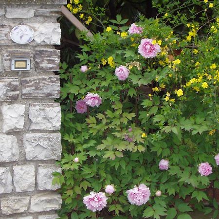 伊尔格里希内住宿加早餐旅馆 Bedizzole 外观 照片