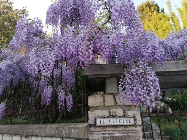 伊尔格里希内住宿加早餐旅馆 Bedizzole 外观 照片
