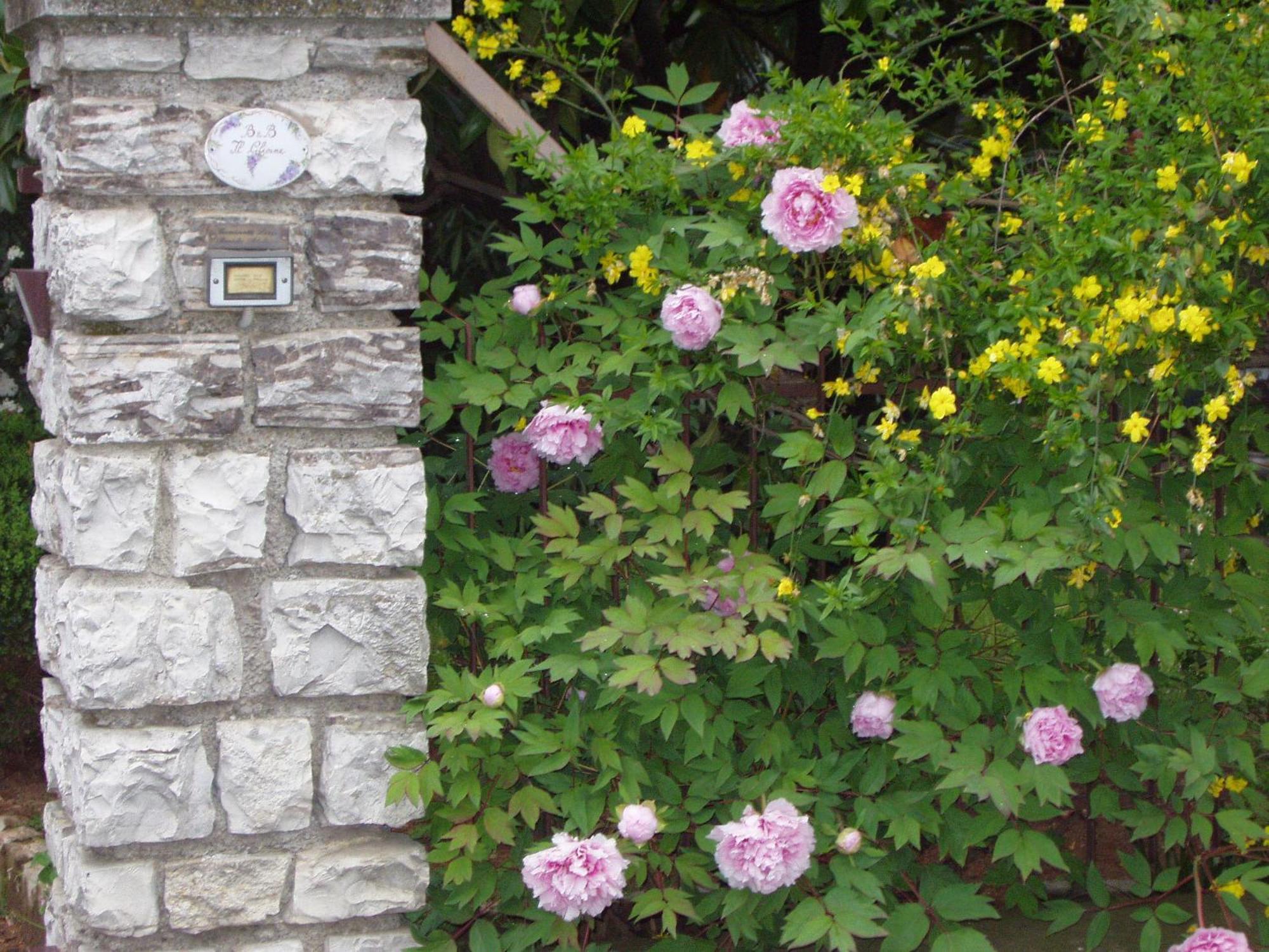 伊尔格里希内住宿加早餐旅馆 Bedizzole 外观 照片