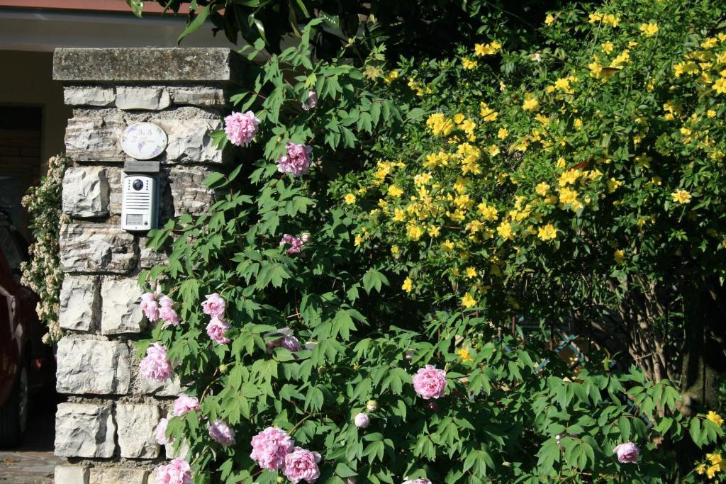 伊尔格里希内住宿加早餐旅馆 Bedizzole 外观 照片