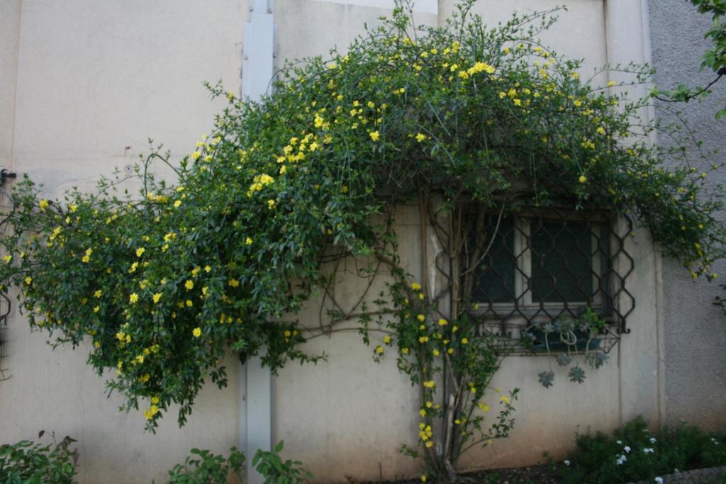 伊尔格里希内住宿加早餐旅馆 Bedizzole 外观 照片